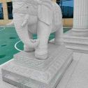 滁州 白麻花岗岩动物异形石雕-大象