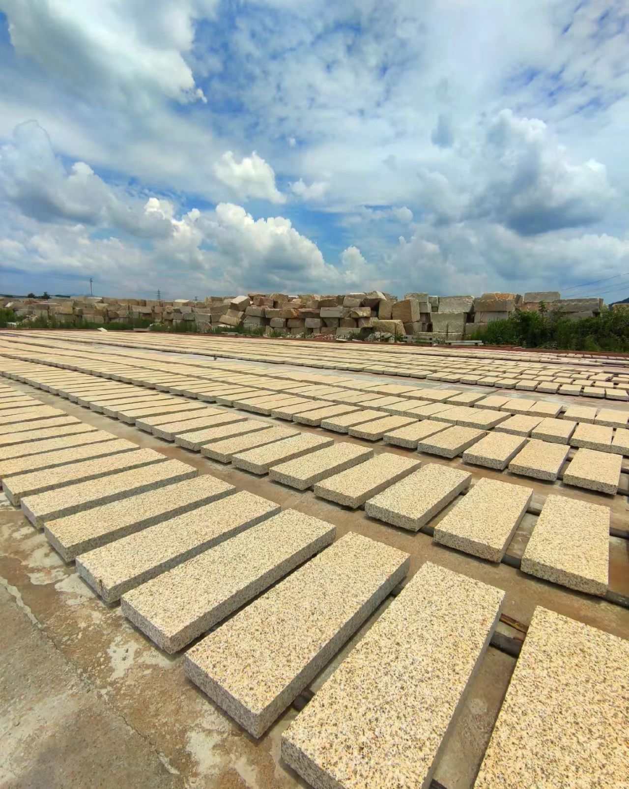 滁州 黄金麻花岗岩荔枝面地铺石防护中